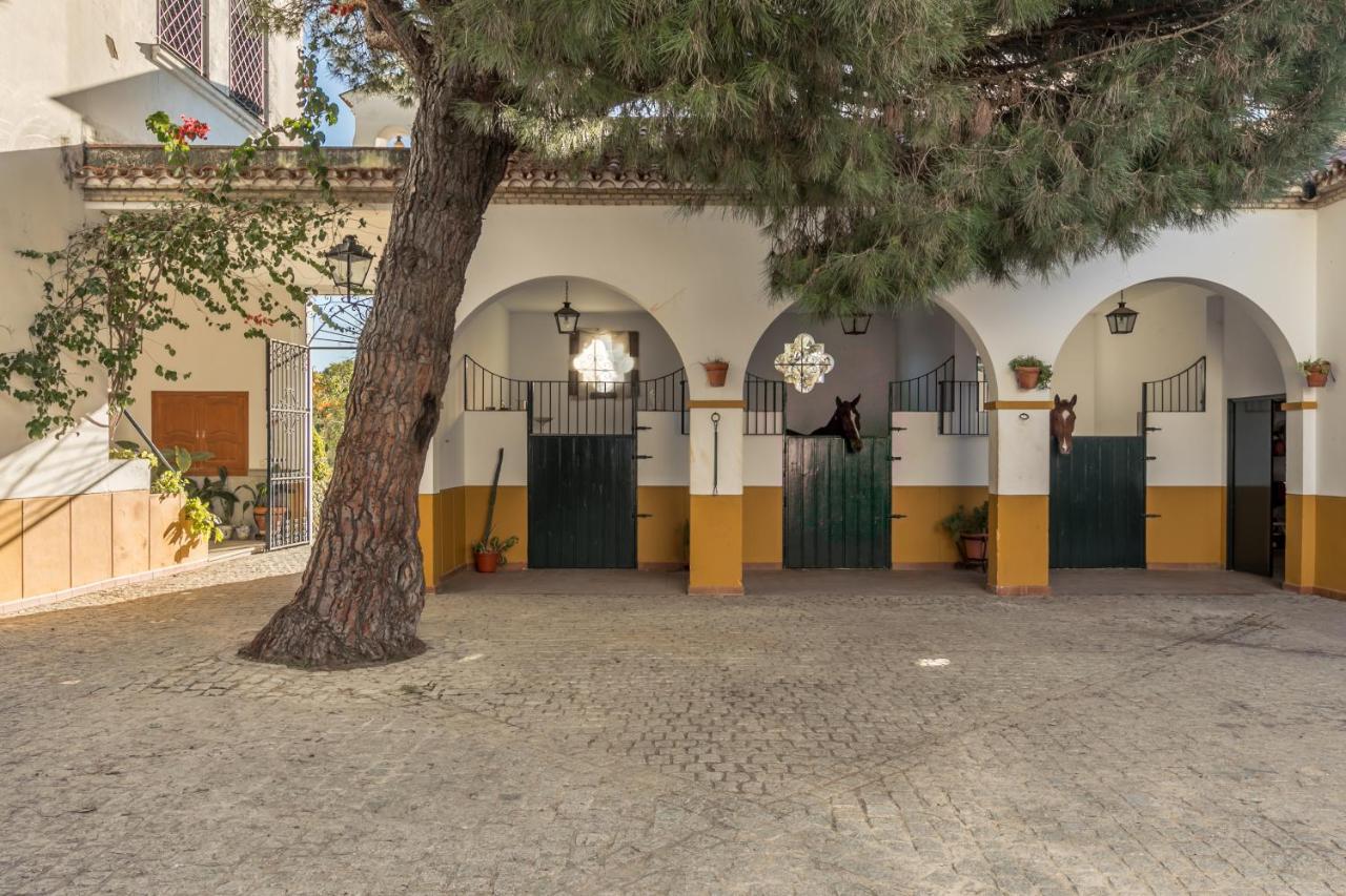 Bed & Breakfast Hacienda Tres Ninas